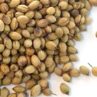 Coriander Seeds