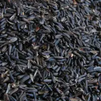 Niger Seeds