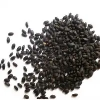 Basil Seeds