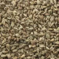 Ajwain Seed / Carom Seeds