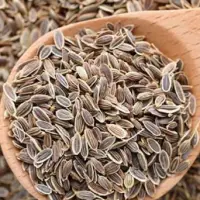 Dill Seeds