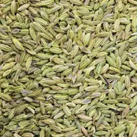 Fennel Seeds