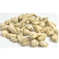 Dry Ginger