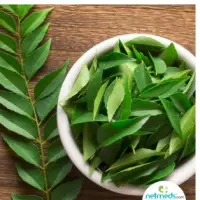 Curry Leaf