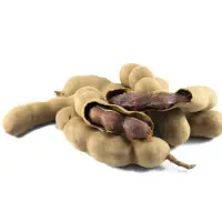 Tamarind