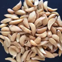 Dehydrated Garlic