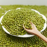 Green Mung