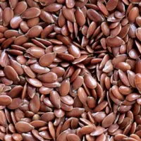Flax Seeds