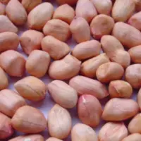 Groundnuts/peanuts
