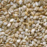 Sesame Seeds