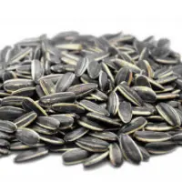 Sunflower Seed