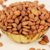 Bitter Apricot Kernals