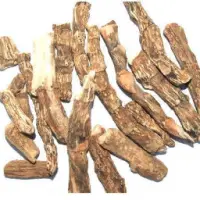 Calamus Roots
