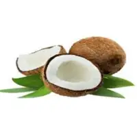 Coconut