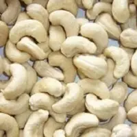 Cashew Nuts