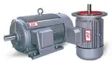 Electric Motor