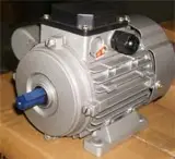 Single phase electric motor