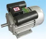 Single phase electric motor