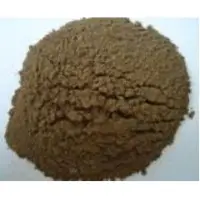 Mycoprotein Powder