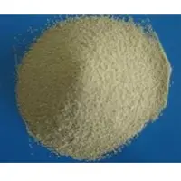 Dicalcium Phosphate