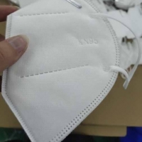 Face Mask