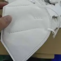 Face Mask