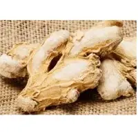 Ginger