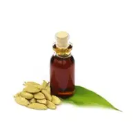 Cardamom Oil