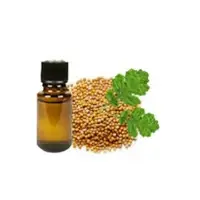 Mustard Essential Oil