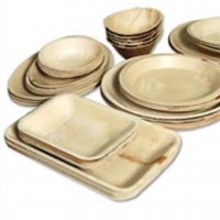 Areca Leaf Plates