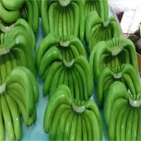 Cavendish Banana