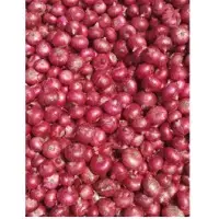 Onion