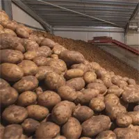Indian Fresh Vegetables