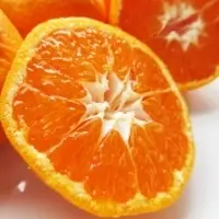 Shio Mikan ( mandarin orange)