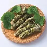 Wasabi (Green stem)