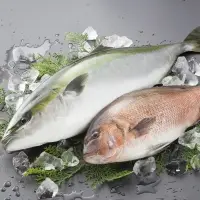 Fresh Fish