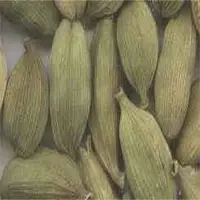 Cardamom