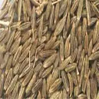 Cumin Seeds