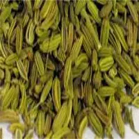 Fennel Seeds
