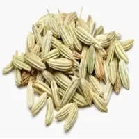 Fennel Seed