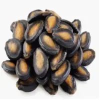 Watermelon Seed