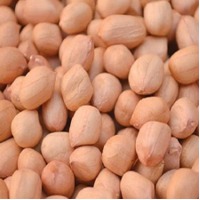 Peanut Whole