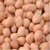Peanut Whole