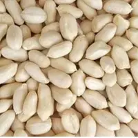 Peanut Blanched