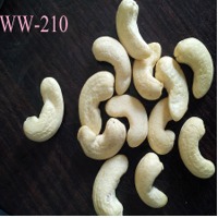 Cashew Nut