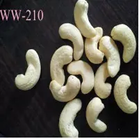 Cashew Nut