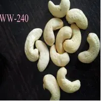 Cashew Nut