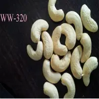 Cashew Nut