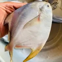 All Fresh Seafood