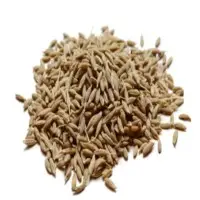 Cumin Seeds